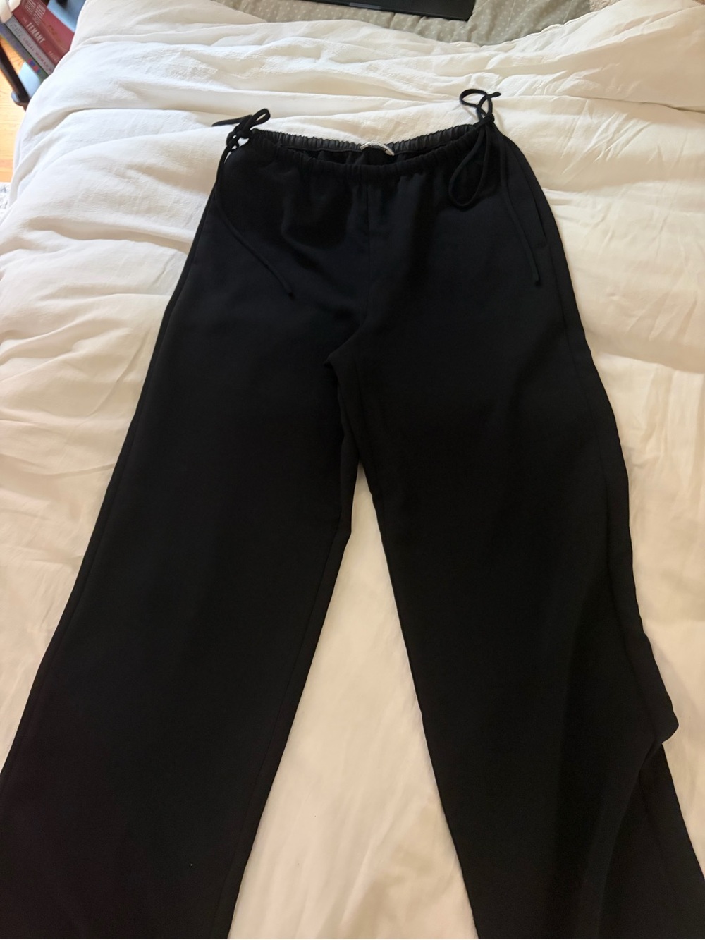 Aritzia Women’s Artisan Pant